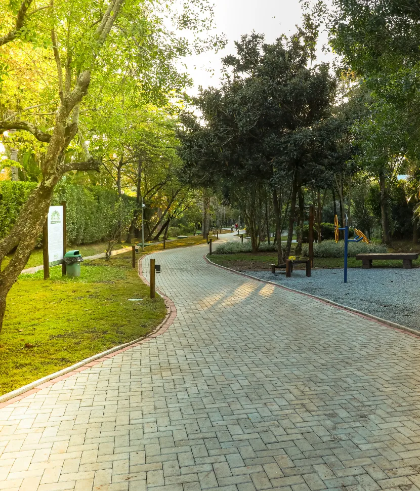 Caminho dos Jerivás — alameda pavimentada e arborizada